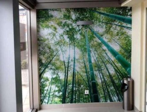 Rotulación de oficinas en Cantabria. Decoración interior.